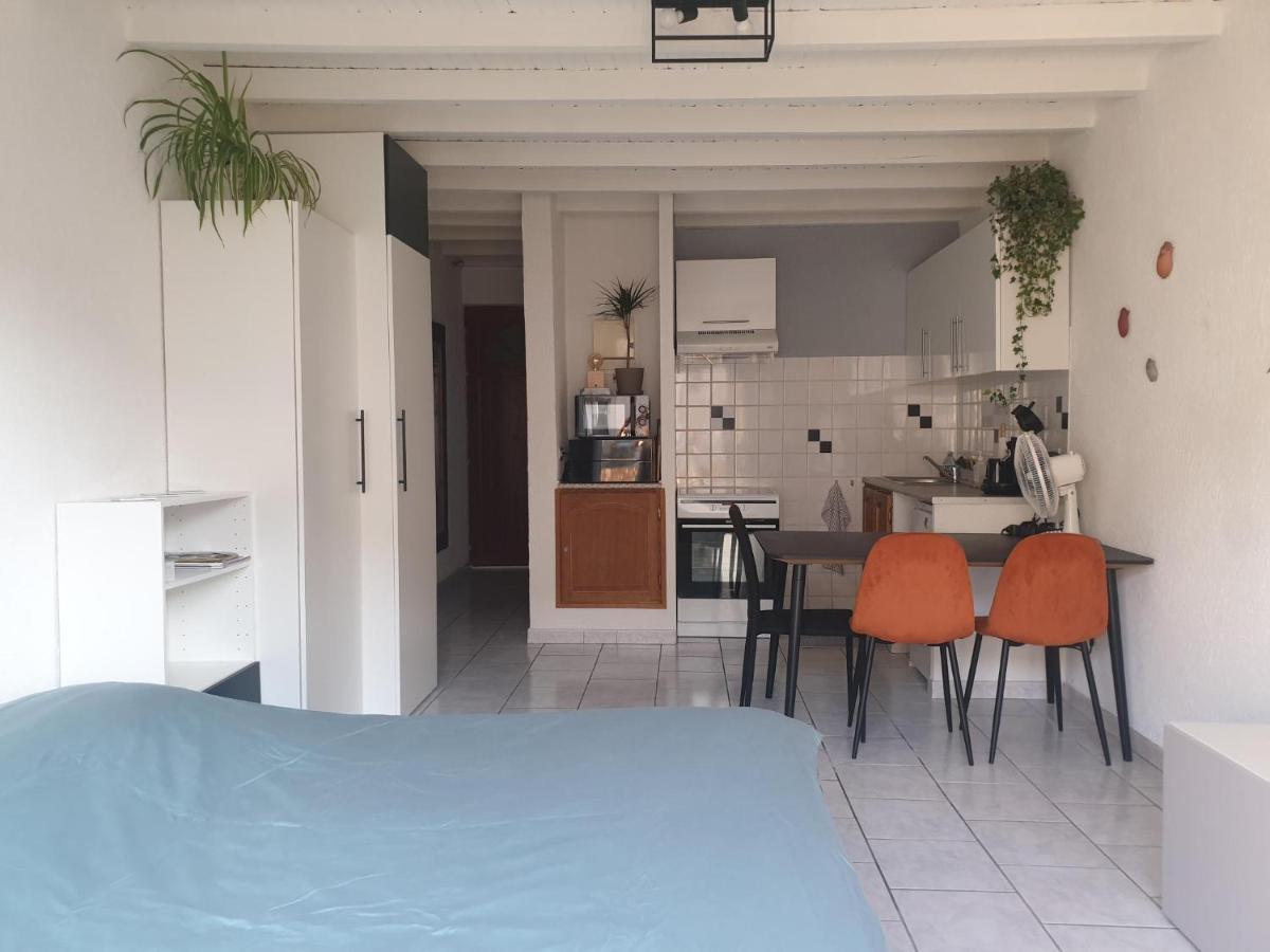 Studio Tout Confort Centre Ville - Balcon, Clim, Tv, Wifi Mazan Exterior foto
